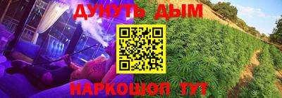 крисы Кинель