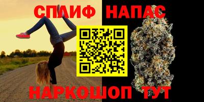 герыч Кингисепп