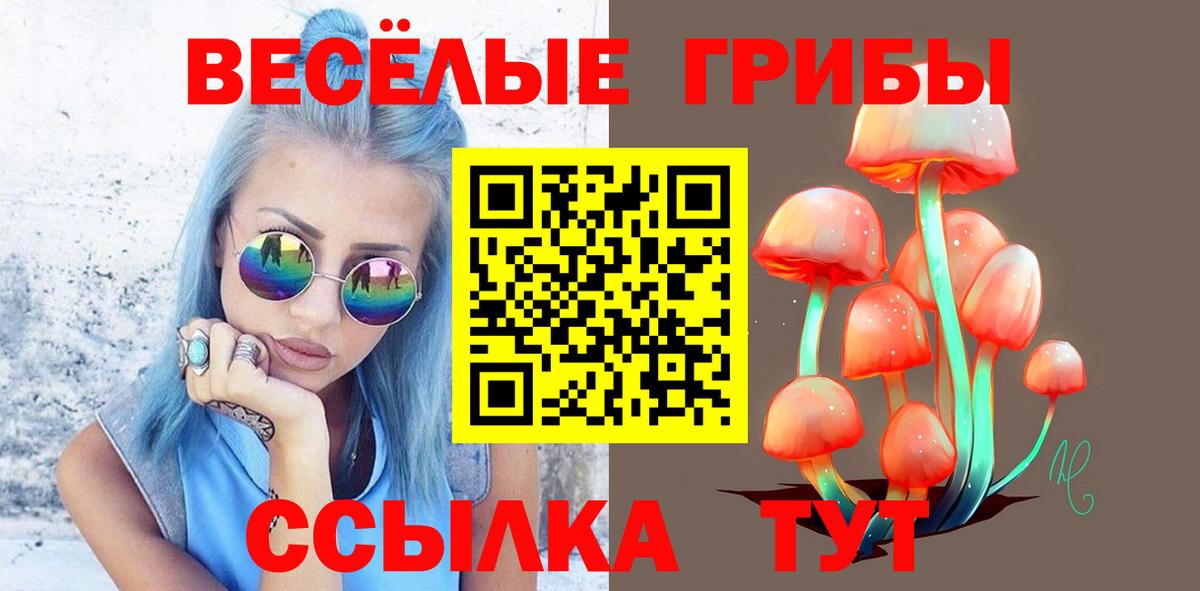 Псилоцибиновые грибы мицелий  Вход с VPN  Кимовск 